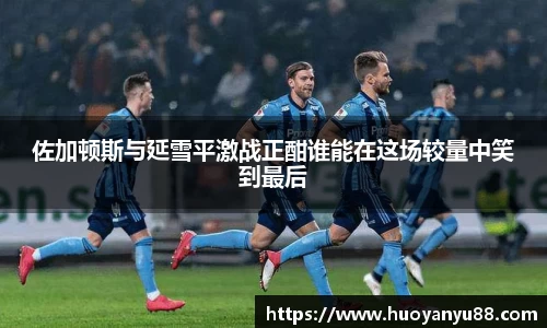 佐加顿斯与延雪平激战正酣谁能在这场较量中笑到最后